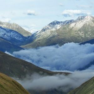 Meet your Posher, Quinton